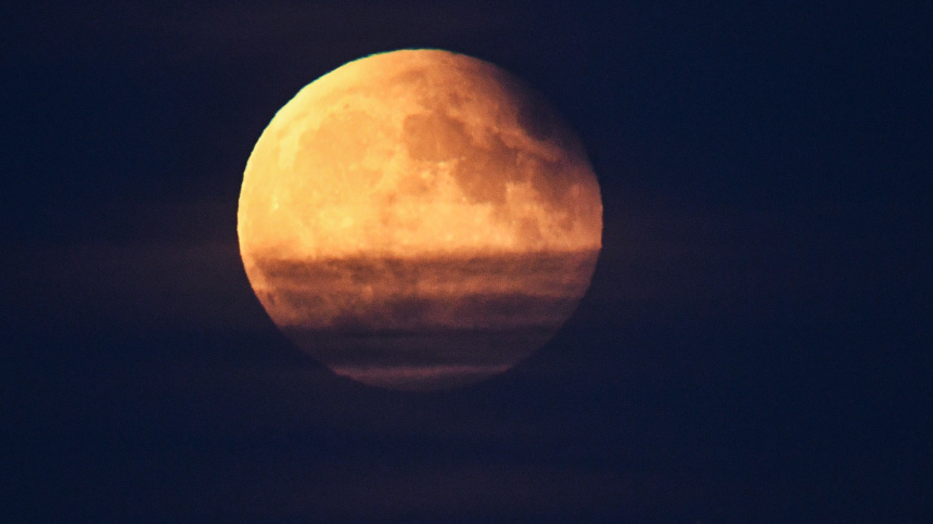    Фото: © РИА Новости/Александр Кряжев