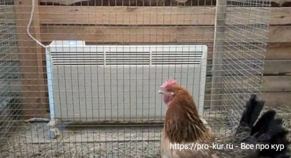 5 способов обогрева курятника в холодный период года ❄️🌡️🐔