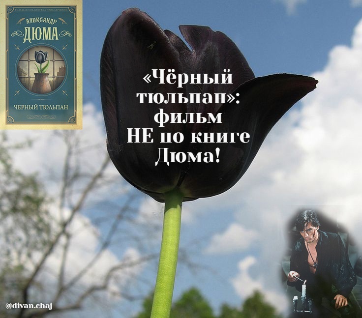 «Чёрный тюльпан»: фильм и книга *