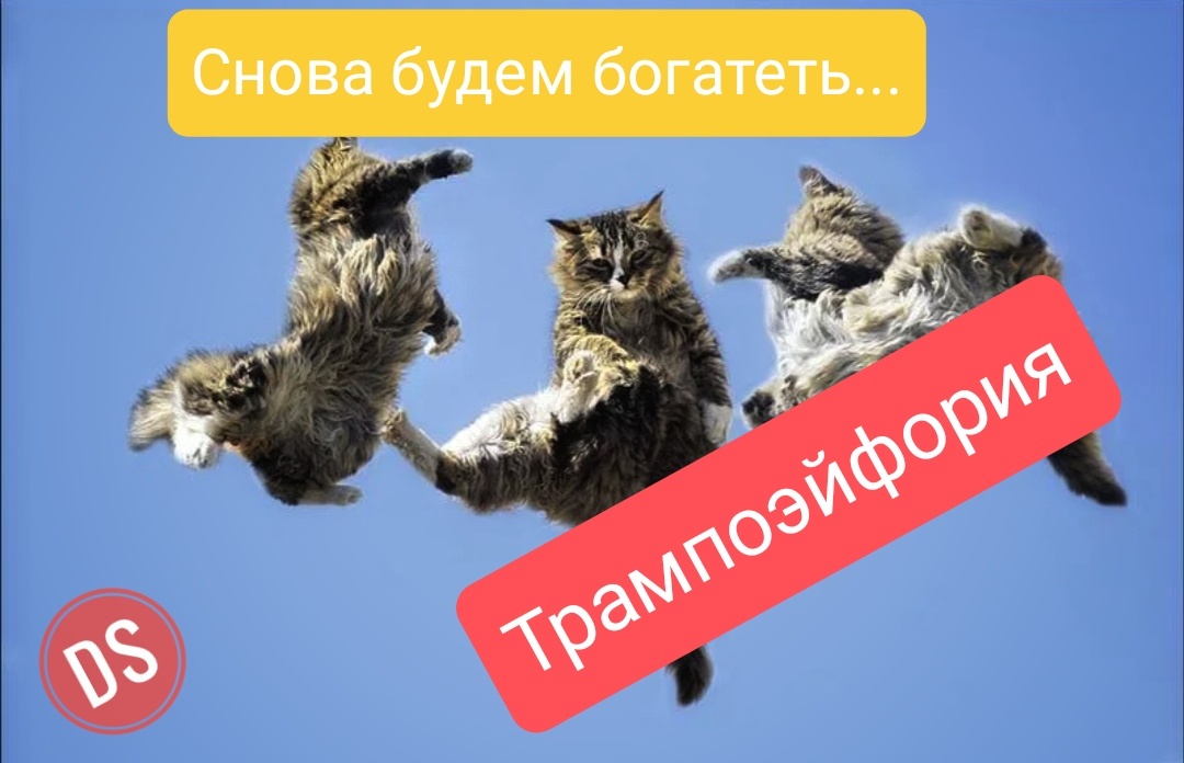 Взято из личного кабинета с целью иллюстрации