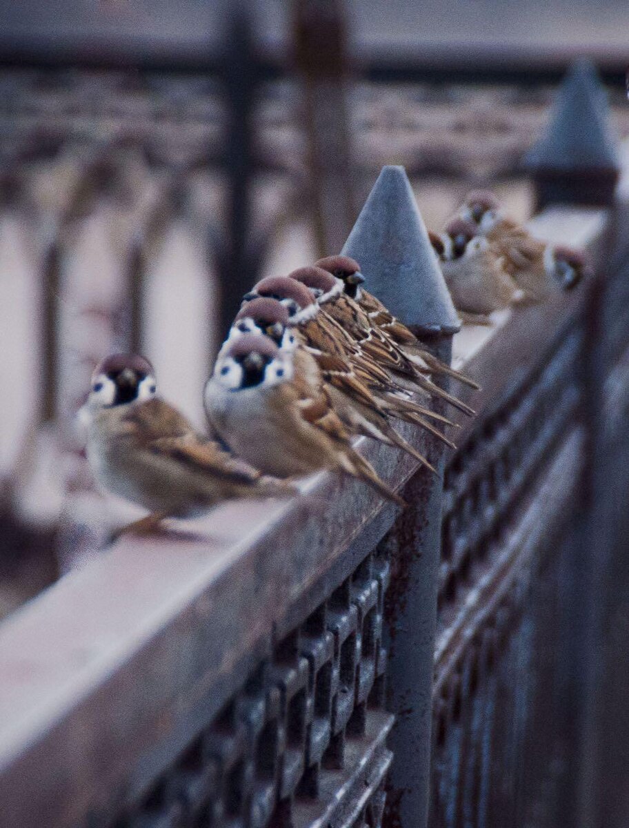 Фото Д. Сунгатуллиной.