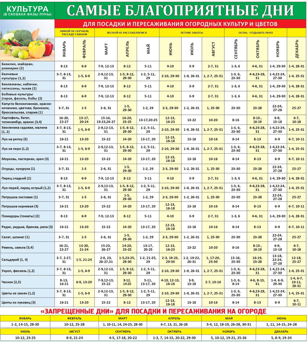 Посевной календарь на 2025 год Лунно-посевной календарь садовода-огородника 2025 Газета Хозяйство Дзен