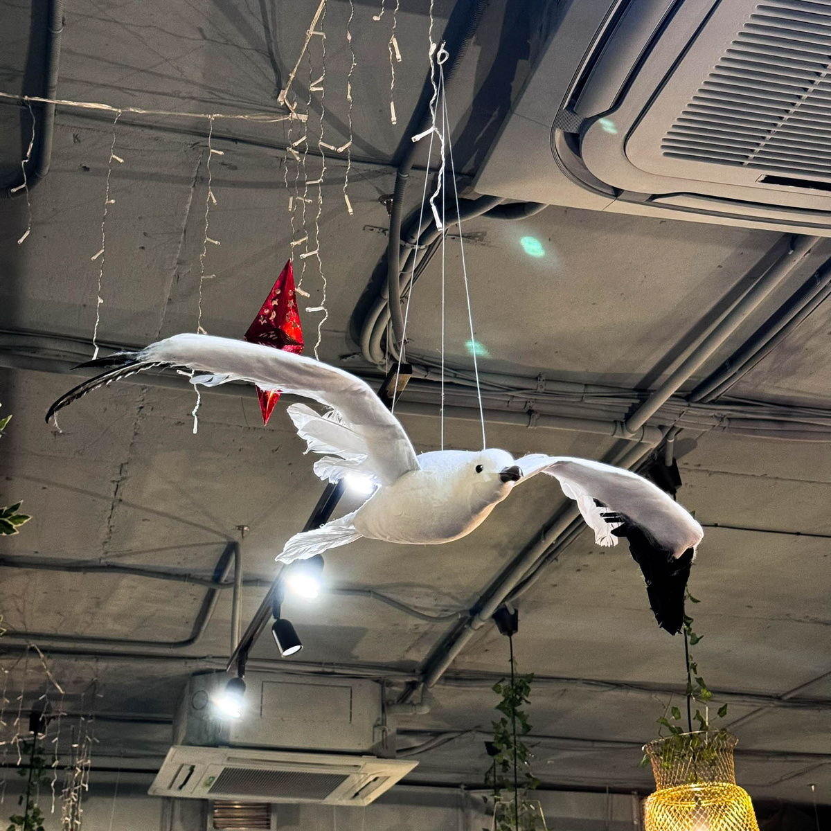 Чайки оповещают нас о скором ужине