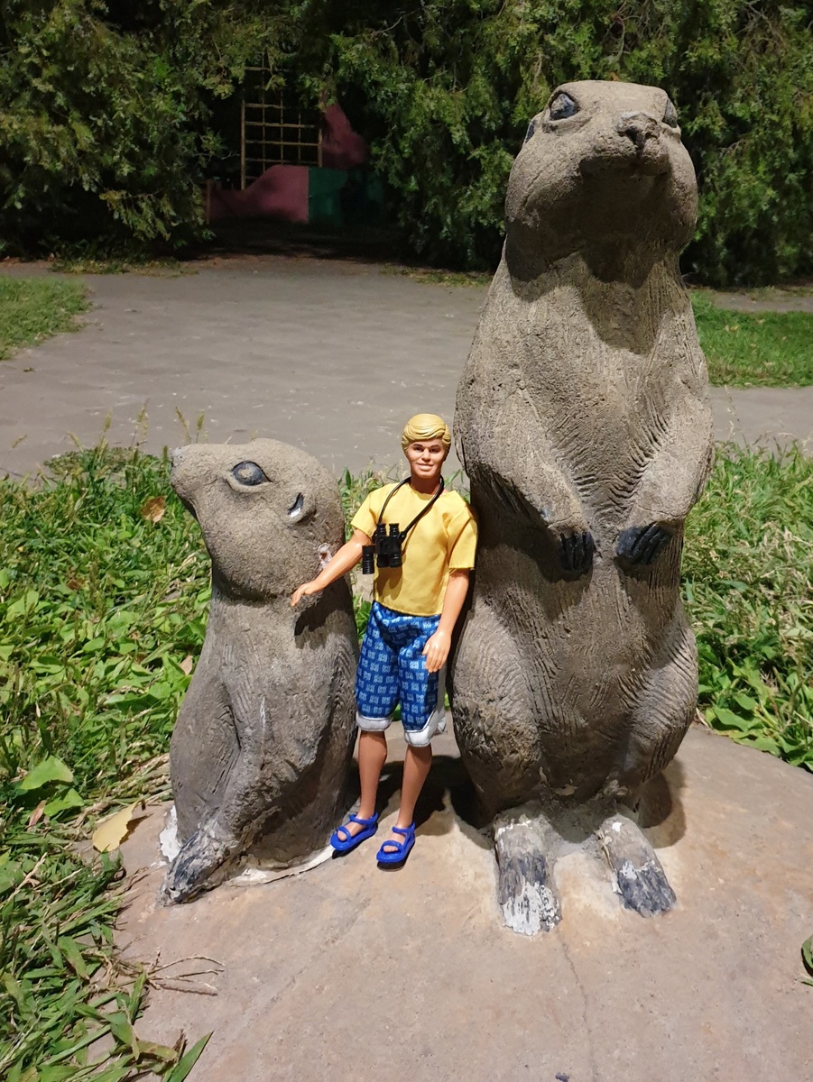 Фото с летних прогулок