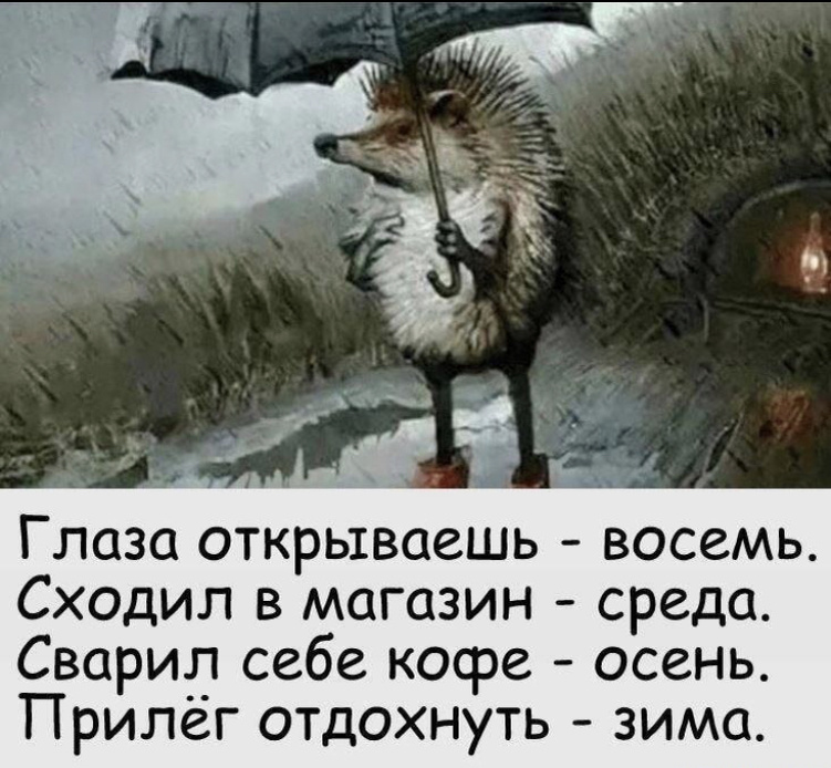 Моя жизнь в одном стишке. Картинка из открытых источников