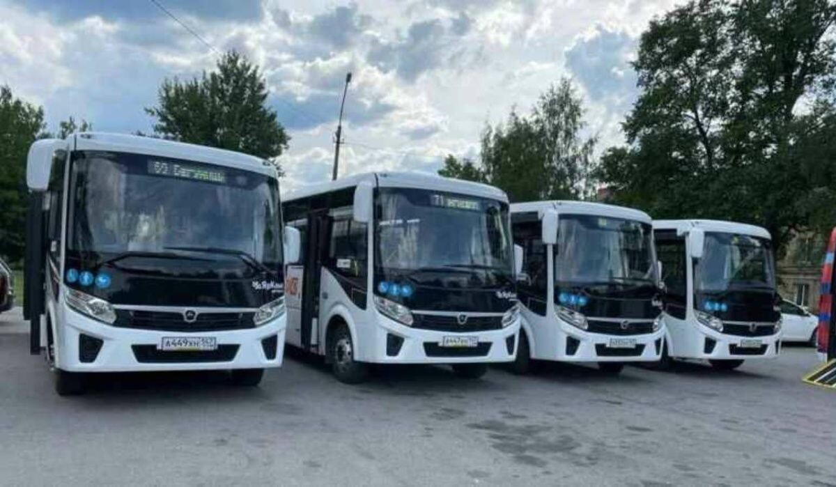     Автобусы. Источник: 78.ru Автор фото: Пресс-служба администрации Ленобласти