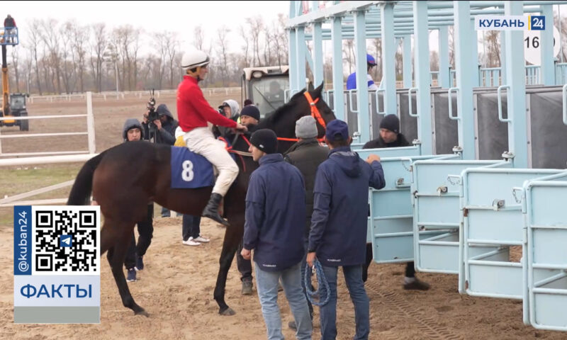    Видео канала «Кубань 24»