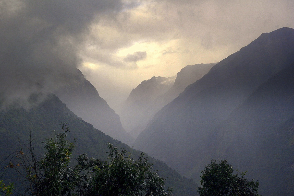 фото из интернета