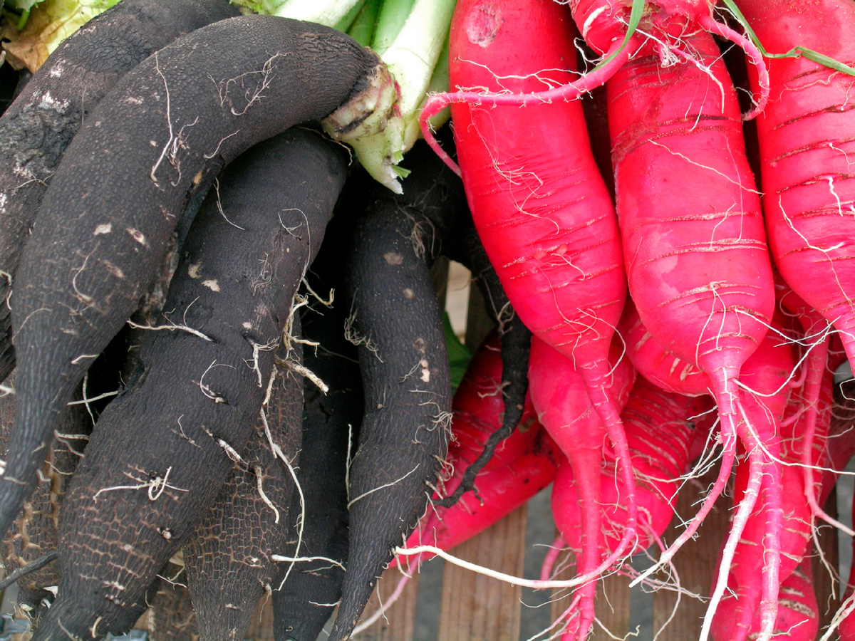 Фото: © Harald Theissen/ imageBROKER.com/Global Look Press