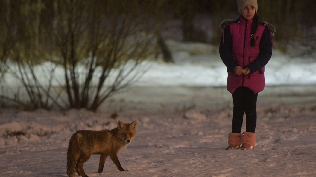    Комсомольская правда/Globallookpress