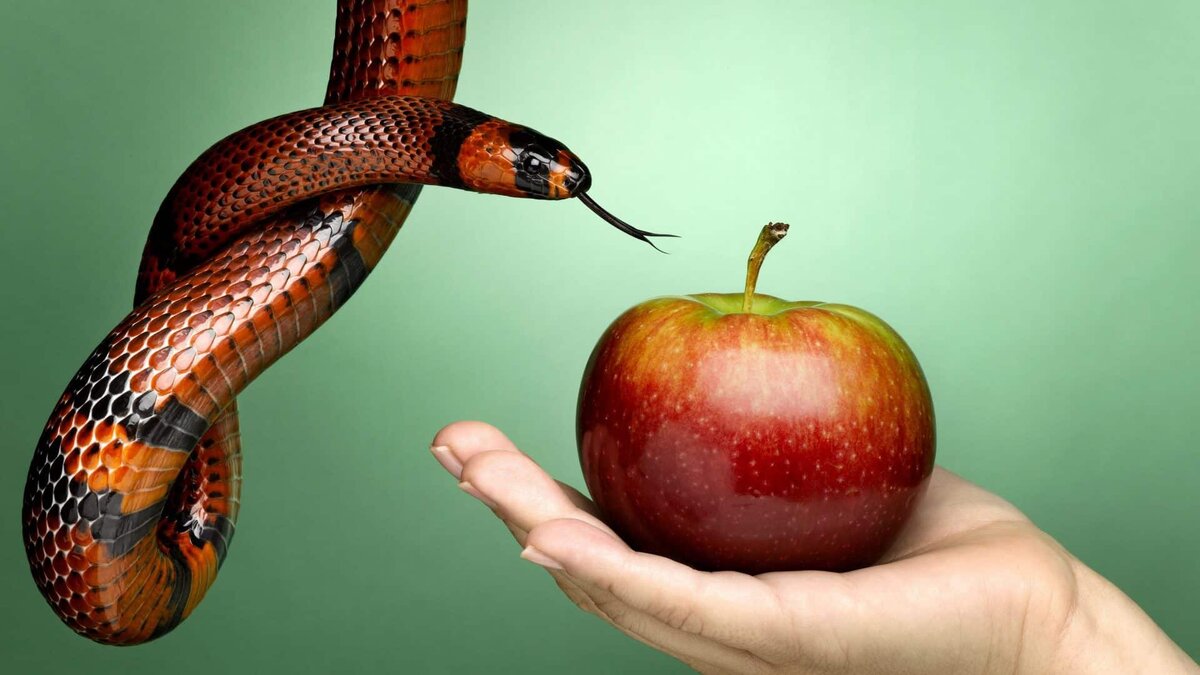 Источник: Яндекс. Картинки