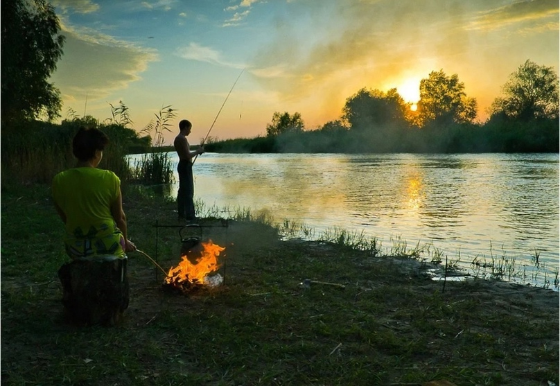 Фото с сайта: https://sun6-20.userapi.com