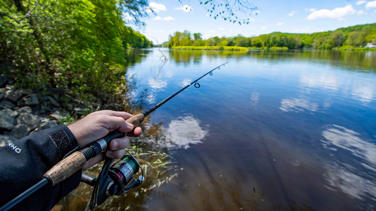 Фото с сайта: https://vniiprh.vniro.ru/upload/iblock/53d/rybalka-v-bashkirii-spinning.jpg