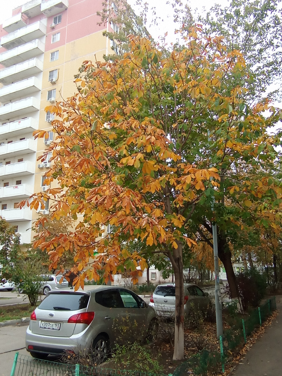 Ещё зелено, но жёлтый вступает в свои права.