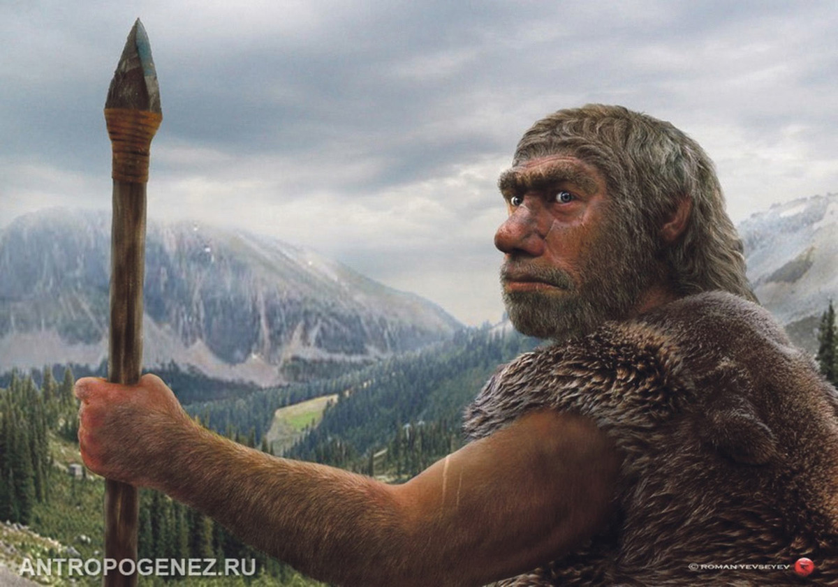 Автор Александр Литвинов