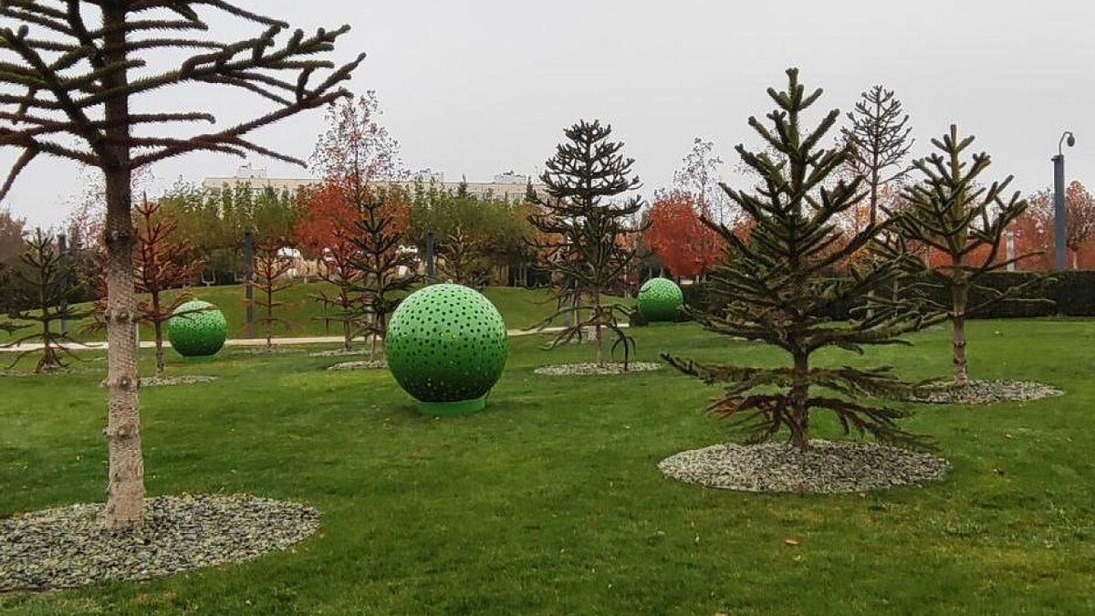    Фото: t.me/park_galitskogo