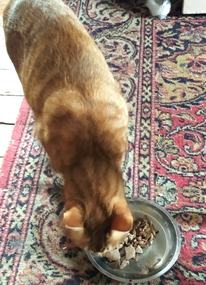 Личное  фото