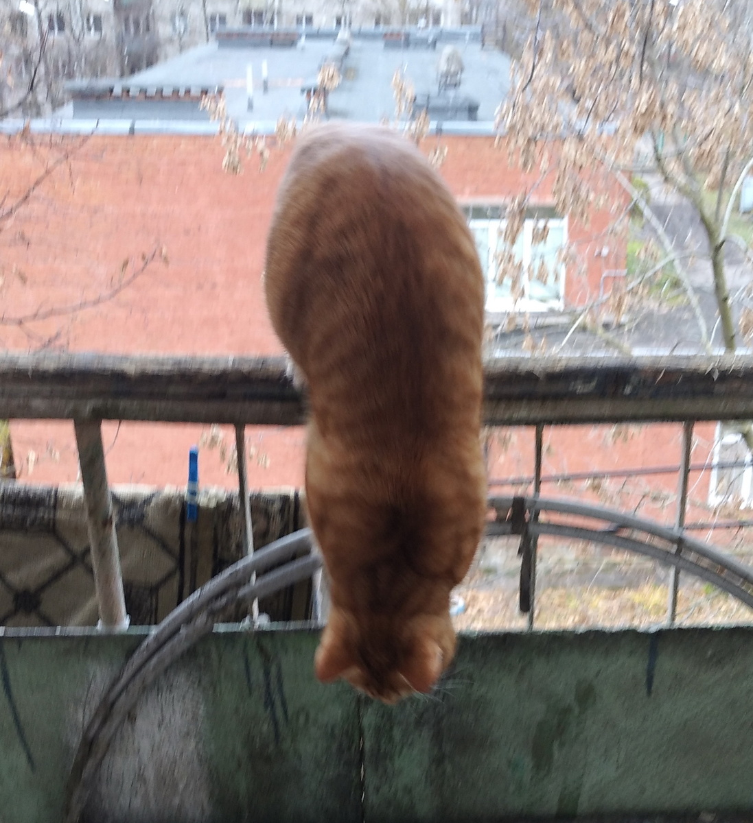 Личное фото