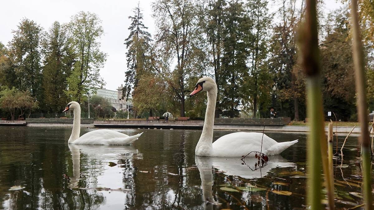    Фото: Ярослав Чингаев / АГН Москва