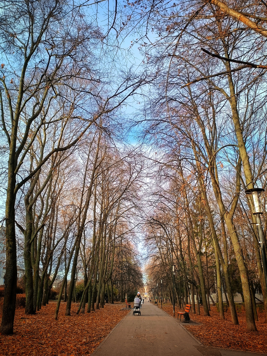 "Сквер строителей" за моим домом. Средоточие данной фотодобычи и кладезь красивостей в принципе. 
