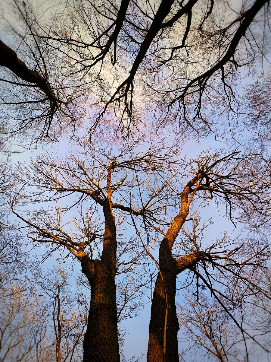 Ну вот как тут не философствовать, при такой красоте? 