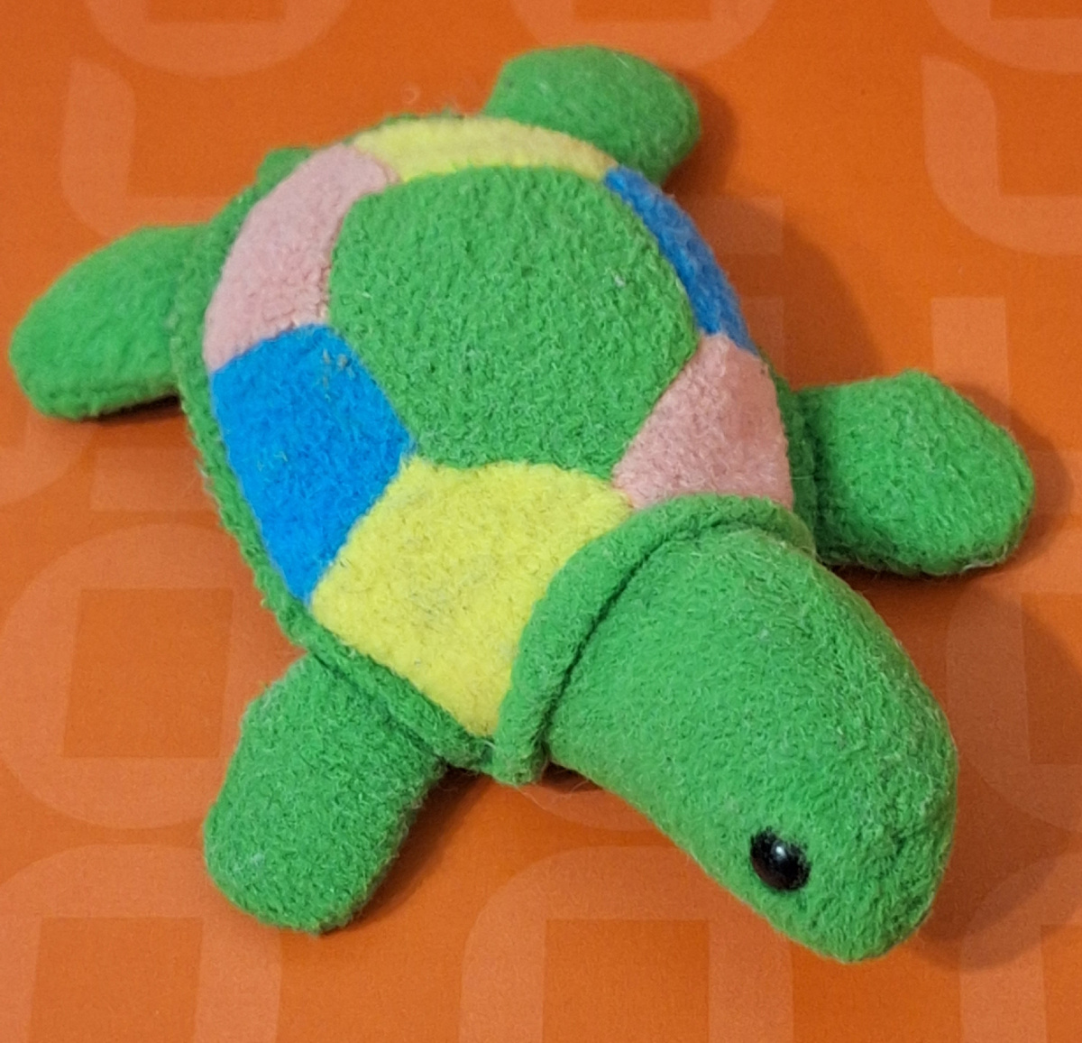 Первая черепашка коллекции