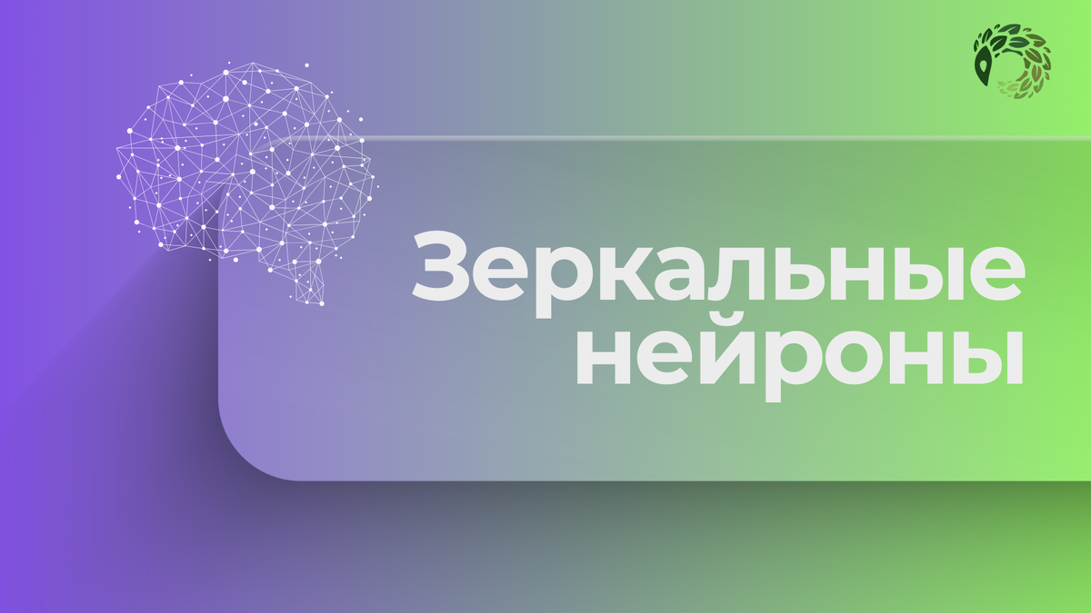 Зеркальные нейроны