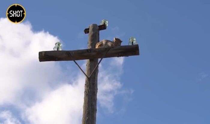 Источник фото: скриншот видео/ Telegram-канал SHOT