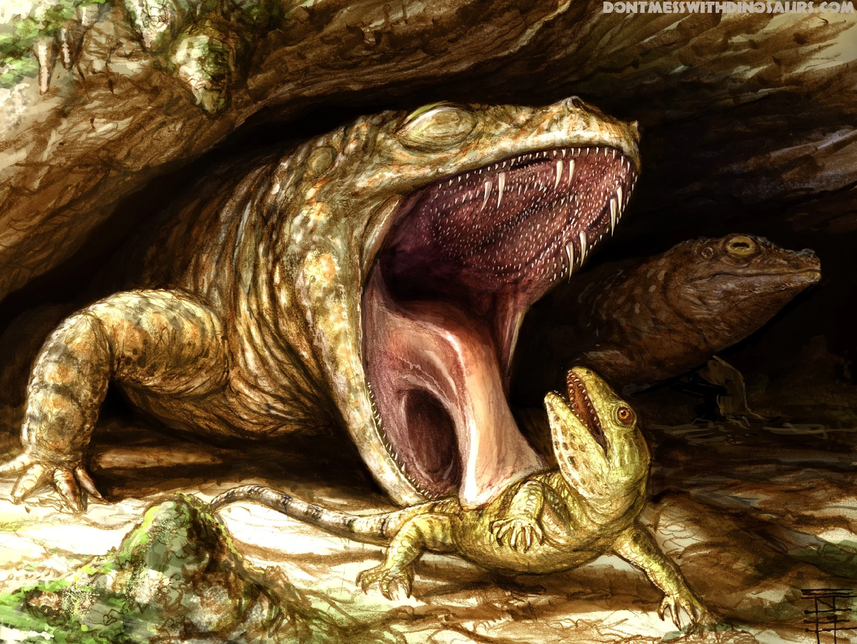 Какопсы были хищниками и отличались от других темноспондилов увеличенными клыками