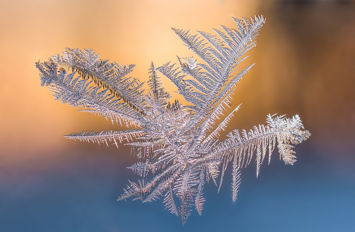 У снежинки есть правила?