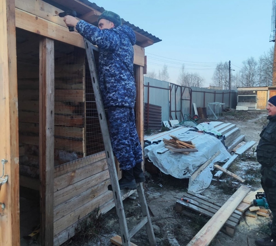    Сотрудники ИК-7 в Сегеже помогли обустроить приют для собак. Фото: УФСИН по Карелии