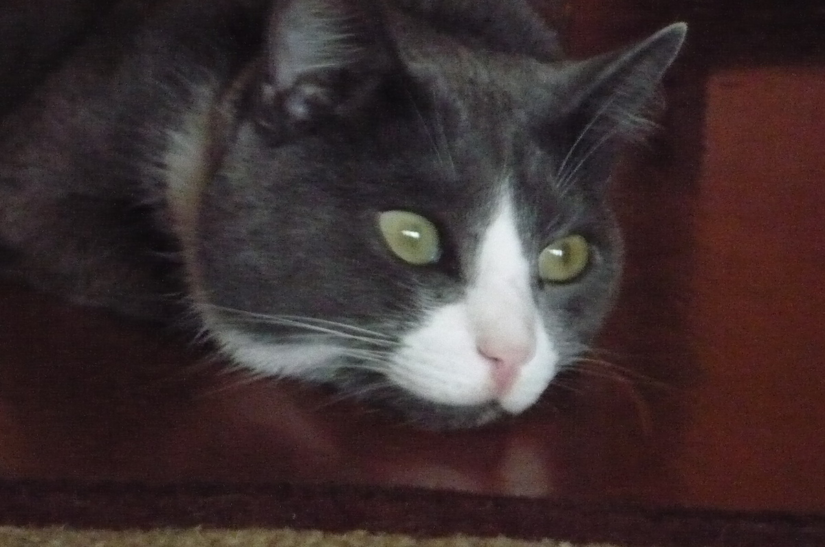 Фото автора