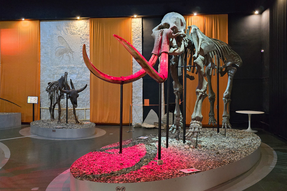 Музей пермских древностей