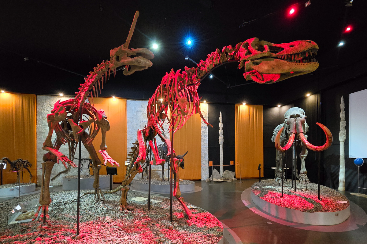 Музей пермских древностей