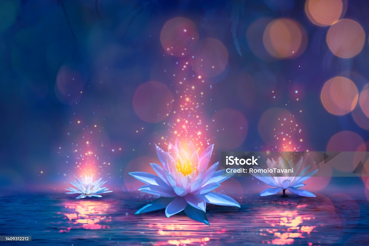 ( Листай галерею ) "В быстро вянущих лепестках цветка больше жизни, чем в грузных тысячелетних глыбах гранита." - Людвиг Андреас Фейербах.