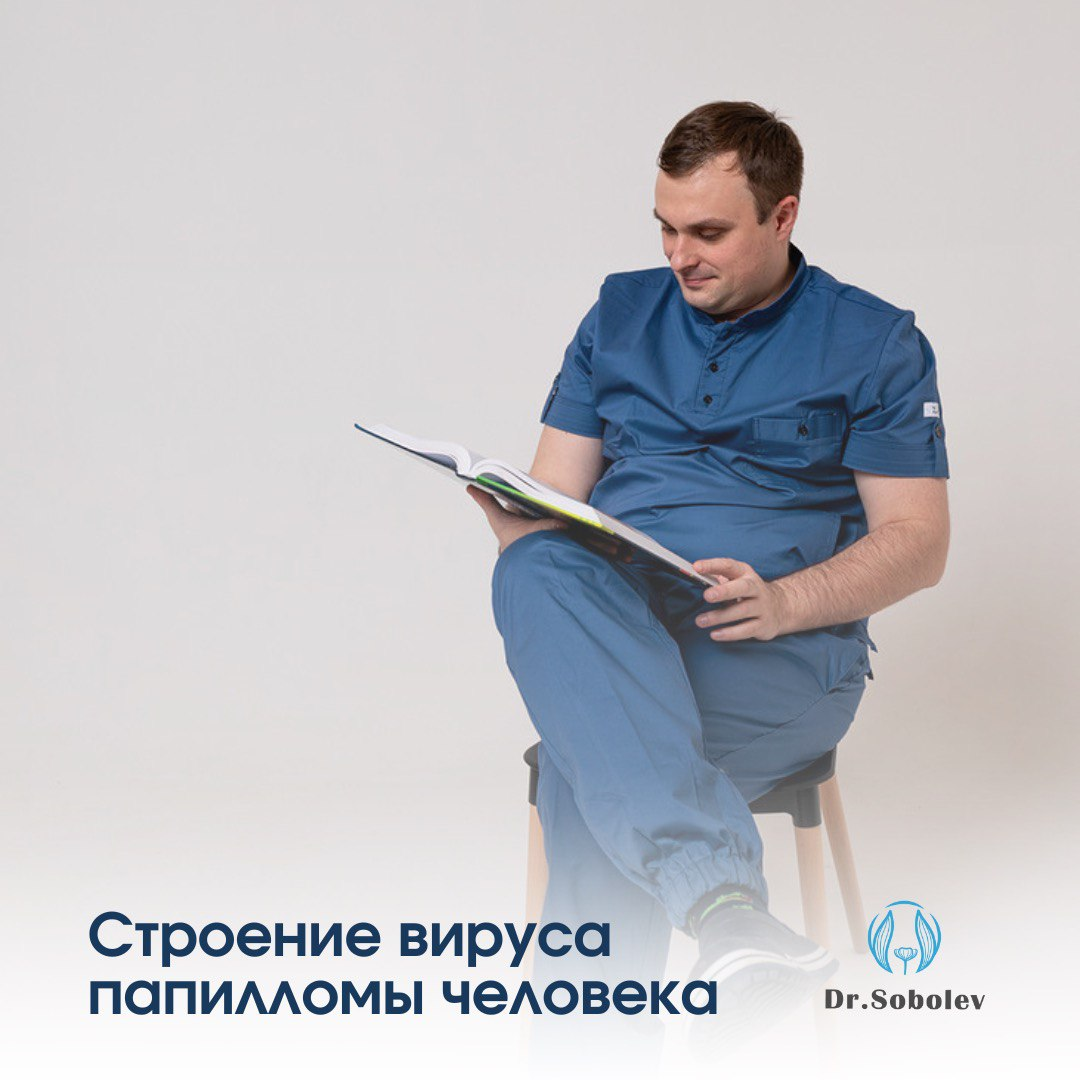 Строение вируса папилломы человека