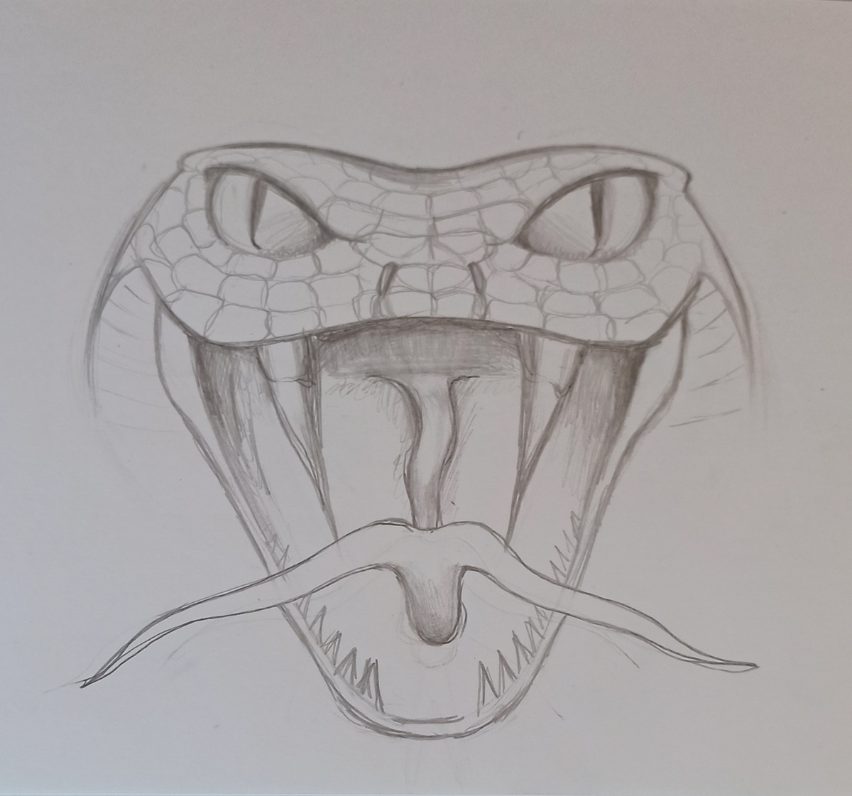 Черновой набросок