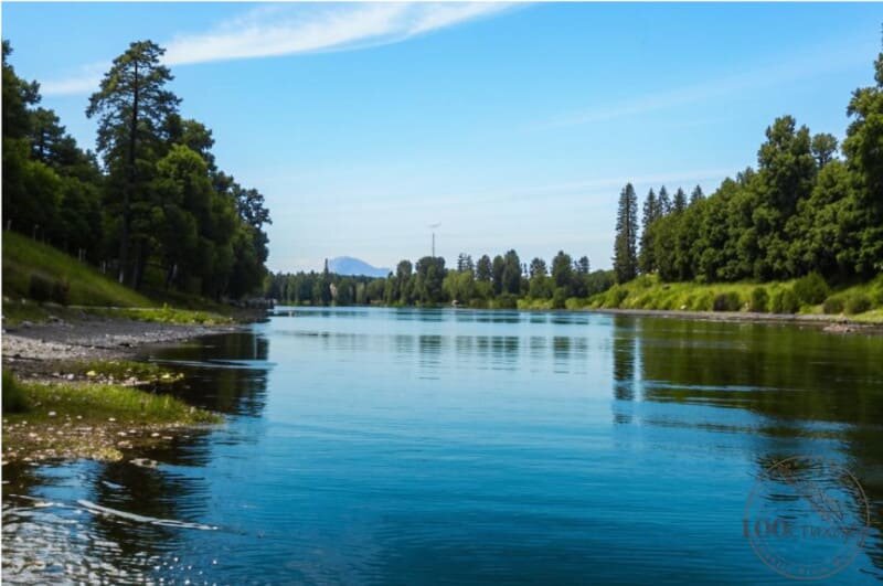Река с тайменем