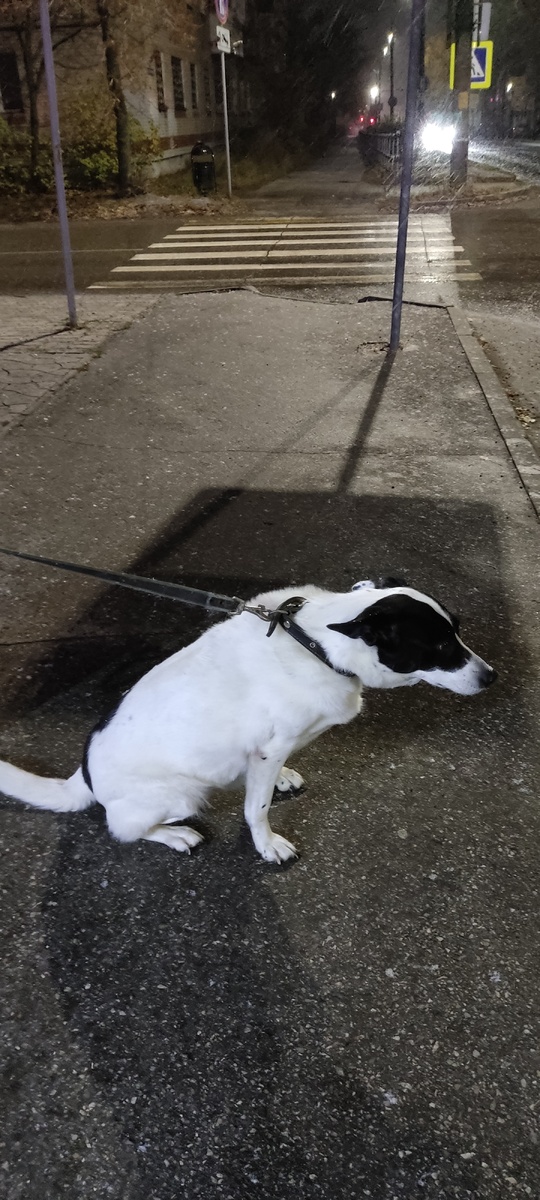 Ждёт, когда пойдём)