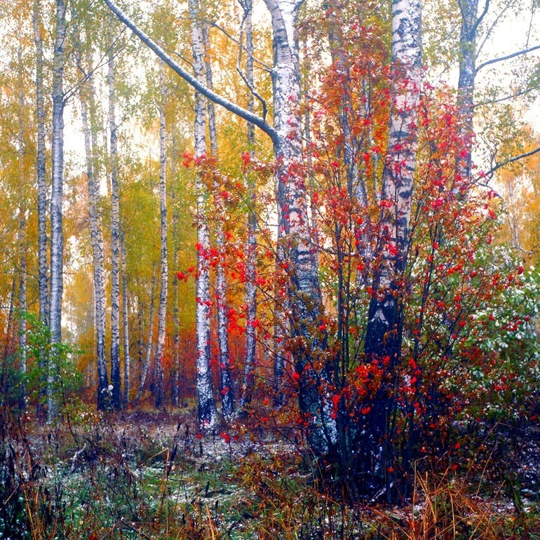 Изображение из открытых источников