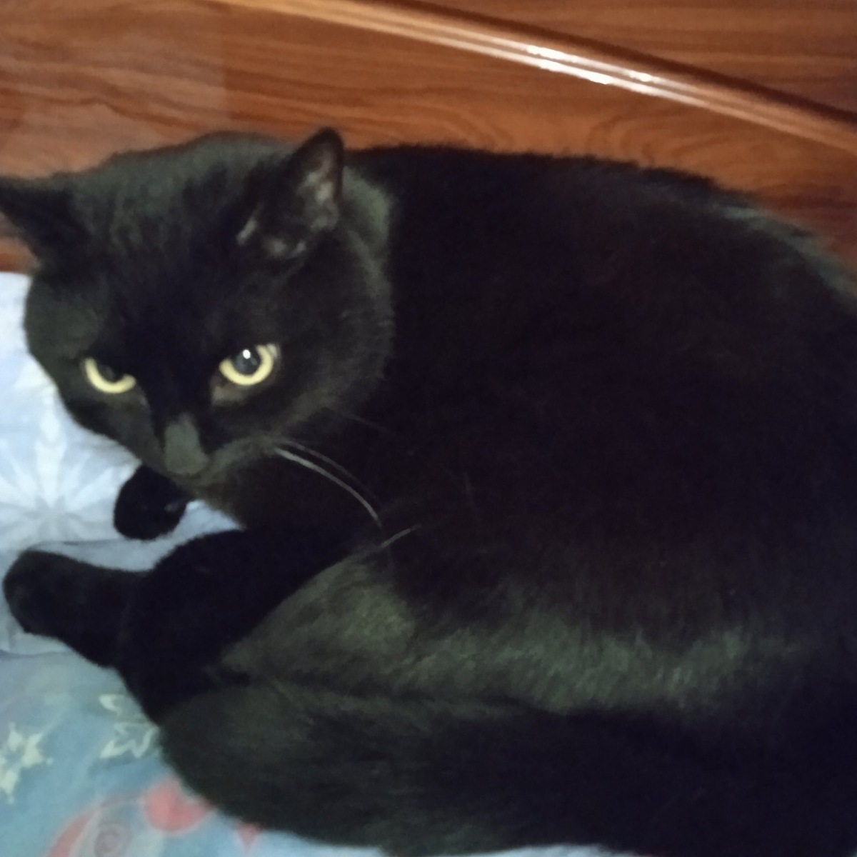 Фото автора.