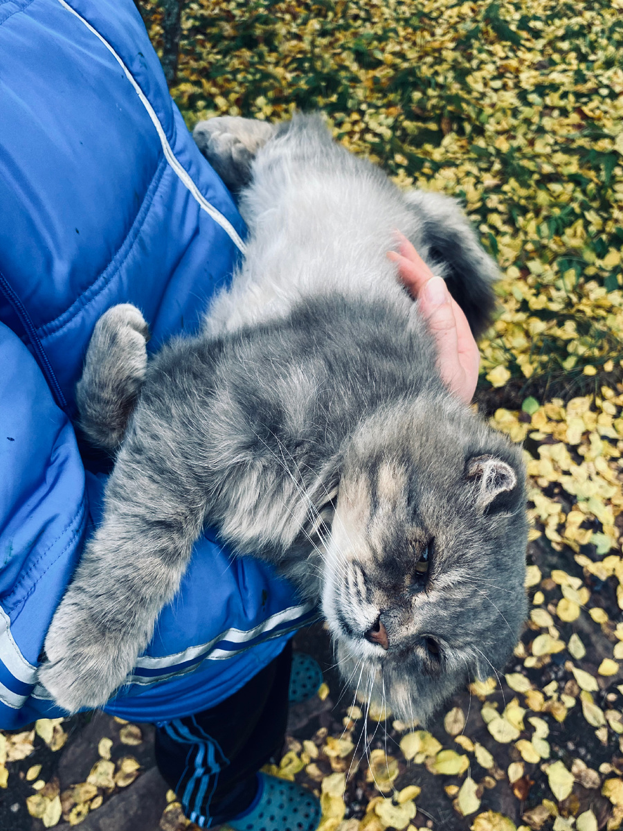 Как хорошо растянутся у хозяина на ручках.