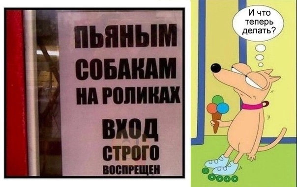 What are we going to do now?