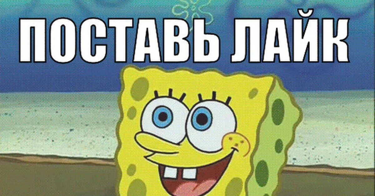 What should we do next? Что нам делать дальше?