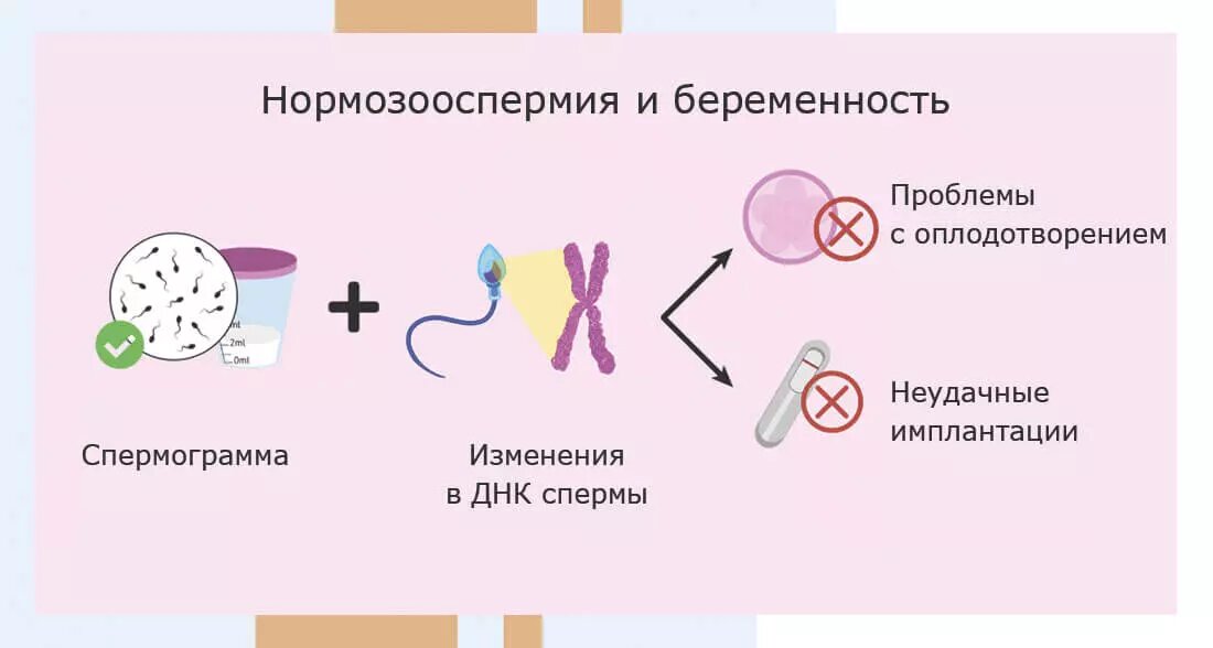 Проблемы с наступлением беременности из-за мужского фактора