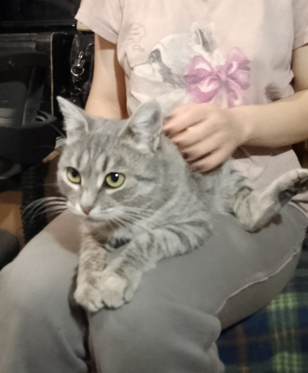 Милане нравится сидеть на коленях