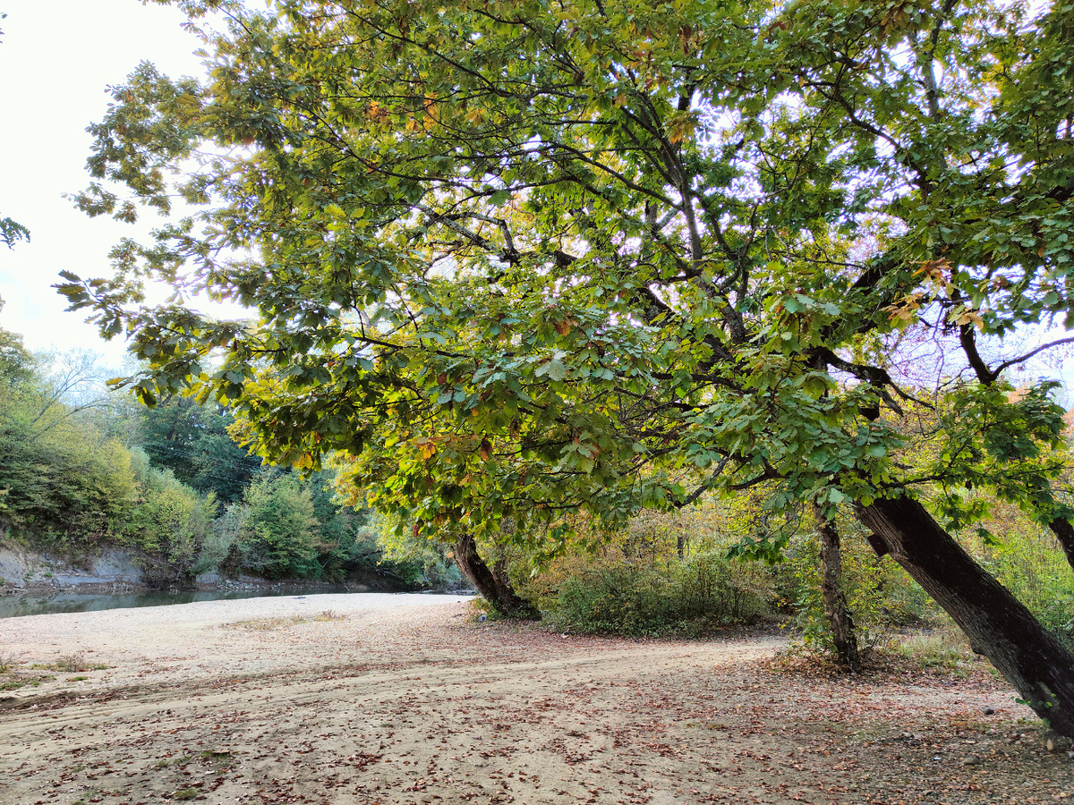 Поляна, приютившая нас на ночь.