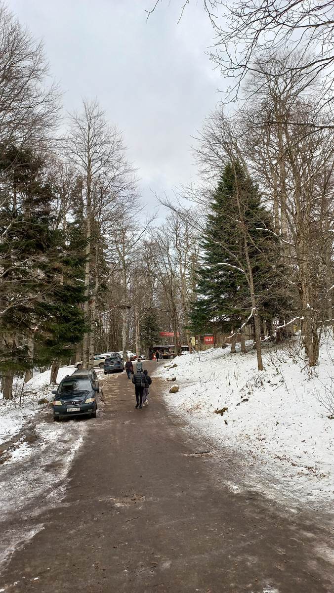 Территория Большой Азишской пещеры. Адыгея (ноябрь, 2024г)