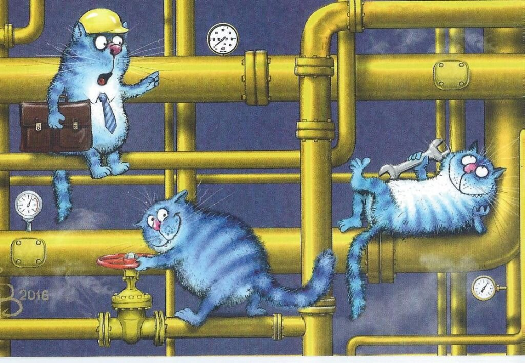 очаровательные коты Рины Зенюк