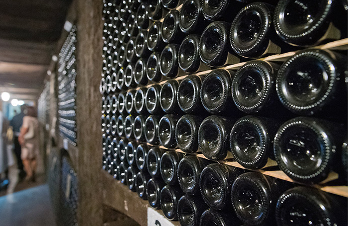    Сергей Мальгавко/ТАСС